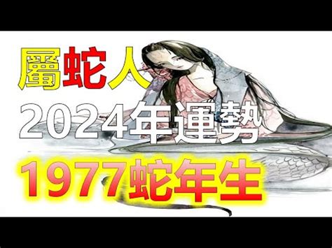 78年屬蛇|【78年屬蛇】78年屬蛇2024年全方位運勢大公開！